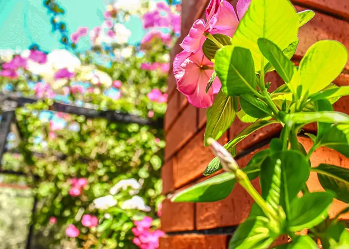 Asoa Peaceful Sea View Гостевой дом Калкан