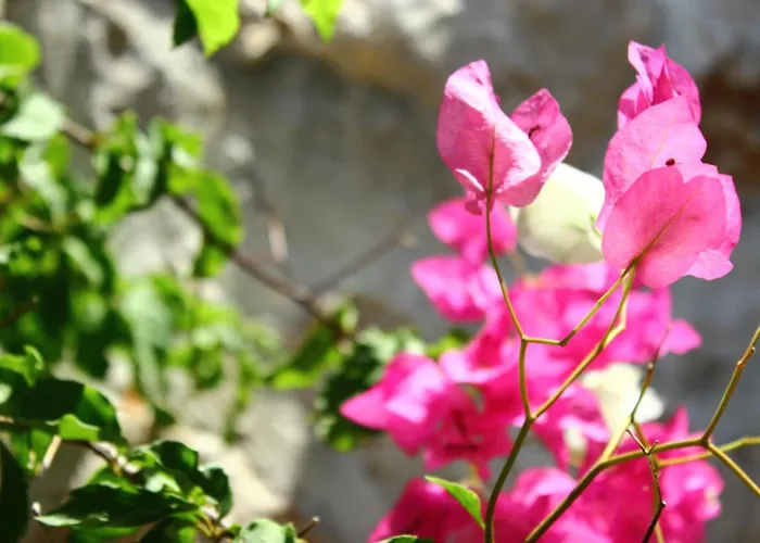 Asoa Peaceful Sea View Гостевой дом Калкан